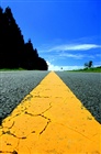 dailyPhoto6